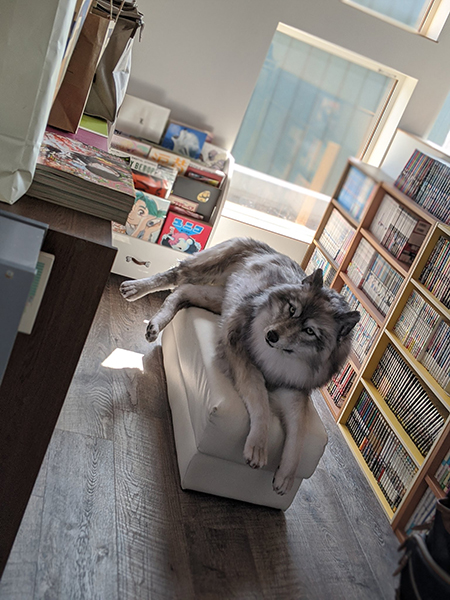 アートドール オオカミ ぬいぐるみ インテリア りぐれぃ* Reg-lay on X: 