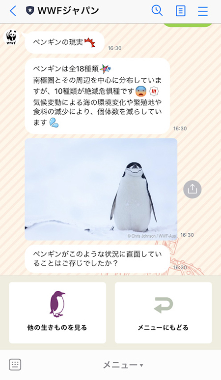  LINE・あなたが守りたい生き物は？のペンギン