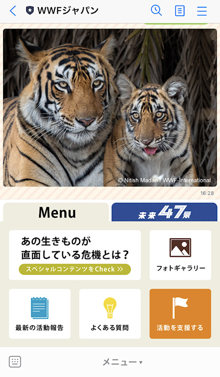  LINE・フォトギャラリーのトラ