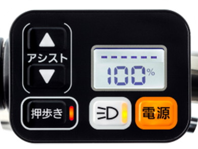 ビビ・L・押し歩き