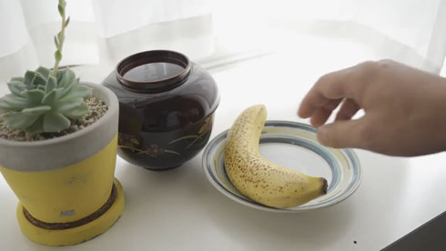 針妙丸