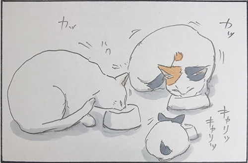  嬉しいお出迎え1