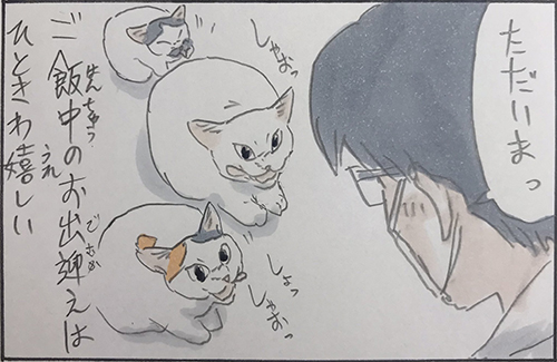  嬉しいお出迎え4