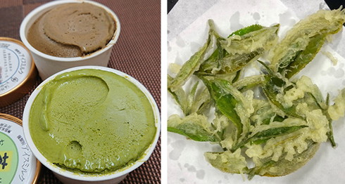 大井川鐵道 トーマス号 ツアー