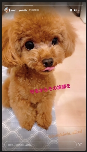 深田恭子 適応障害 休養 休業 吉田沙保里 親友 インスタ