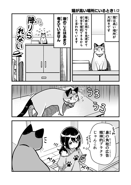  猫が高い場所にいる時1