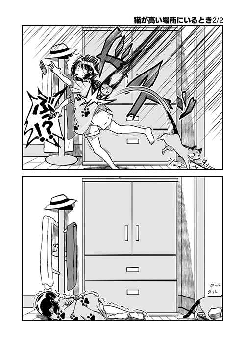  猫が高い場所にいる時2