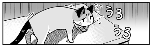  猫をなでたいとき切り抜き