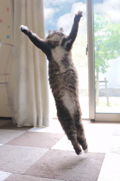 バンザイジャンプロッケくん