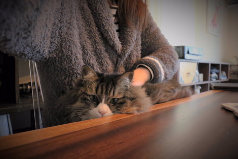 ロッケくんいろいろ