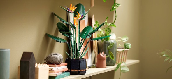 レゴ ボタニカルコレクションの新商品「レゴ ストレリチア」メインイメージ