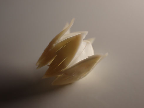 目玉