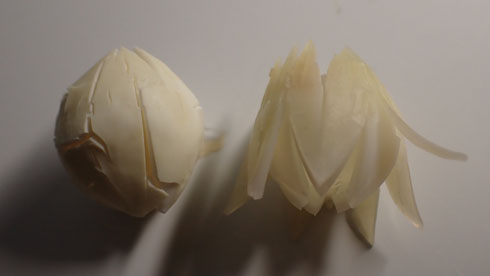 目玉