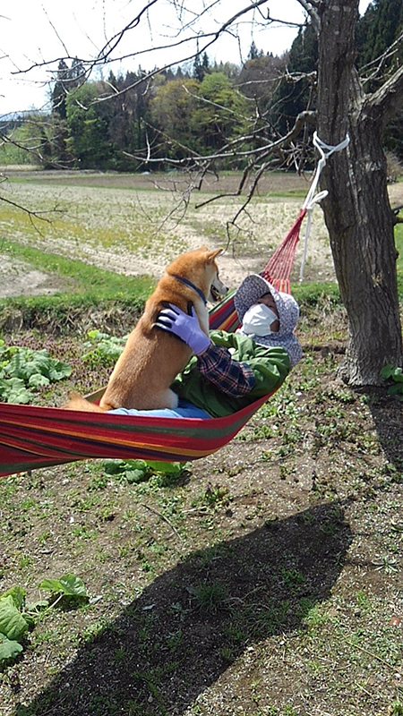 ハンモックばあばとボンくん