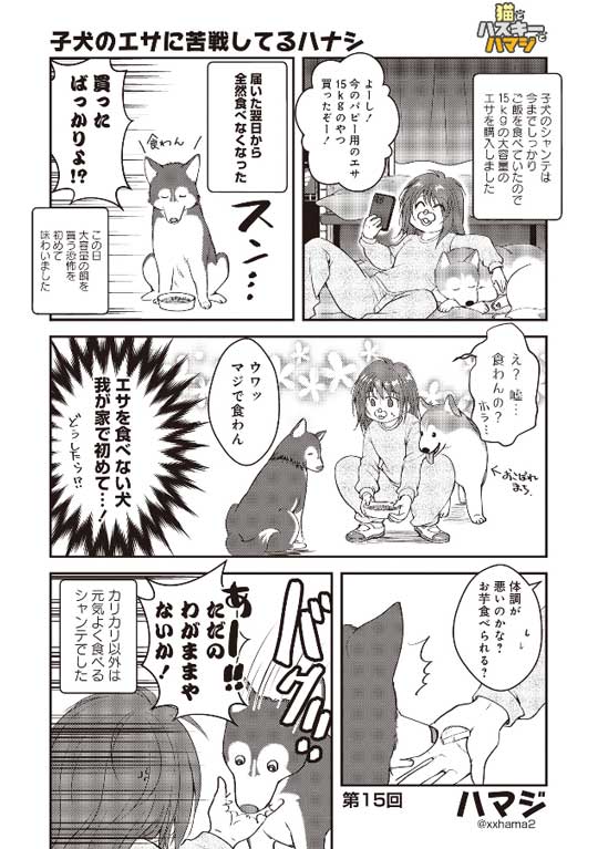 猫とハスキーとハマジ 子犬 ハスキー 成長 エサ 苦戦 漫画