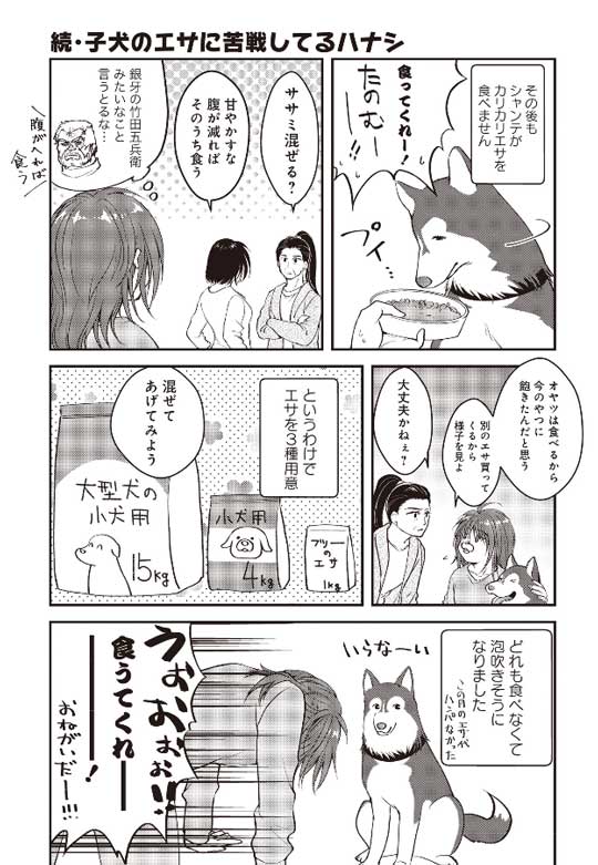 猫とハスキーとハマジ 子犬 ハスキー 成長 エサ 苦戦 漫画