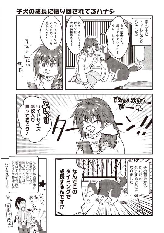 猫とハスキーとハマジ 子犬 ハスキー 成長 エサ 苦戦 漫画