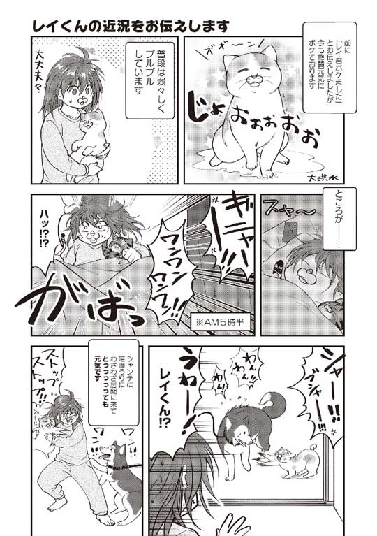猫とハスキーとハマジ 子犬 ハスキー 成長 エサ 苦戦 漫画