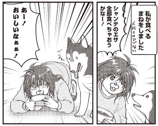 猫とハスキーとハマジ 子犬 ハスキー 成長 エサ 苦戦 漫画