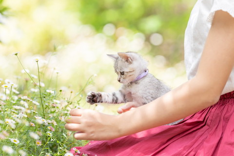 よつばちゃんいろいろ