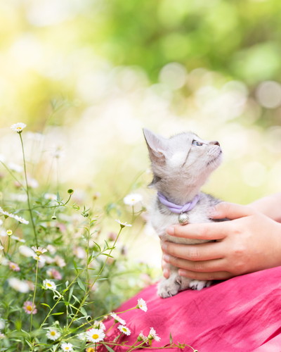 モチコちゃんいろいろ