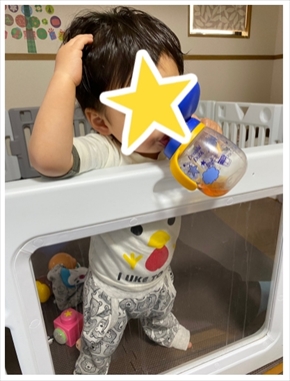 稲垣早希 桜 エヴァ 惣流・アスカ・ラングレー 息子 りおなり ブログ