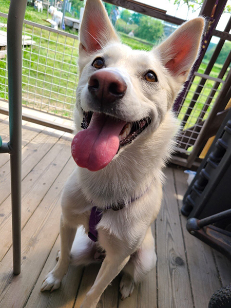 にこにこハクさん