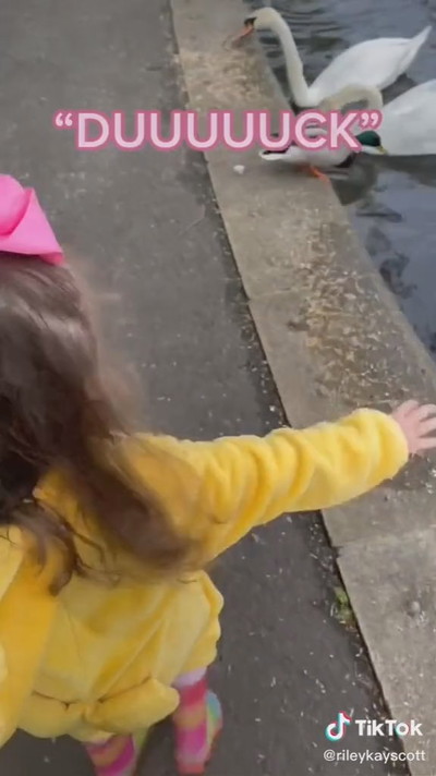 アヒル大好き！　DUUUUUCK!!