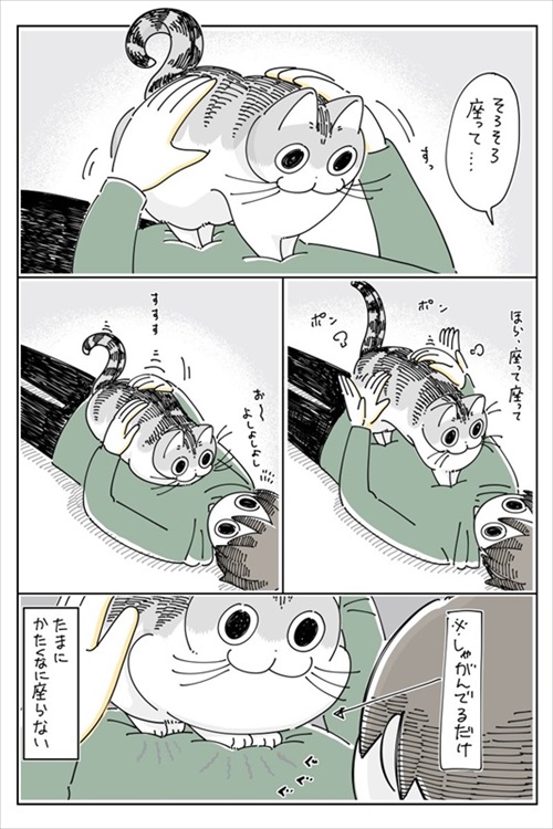 キュルZさん単行本