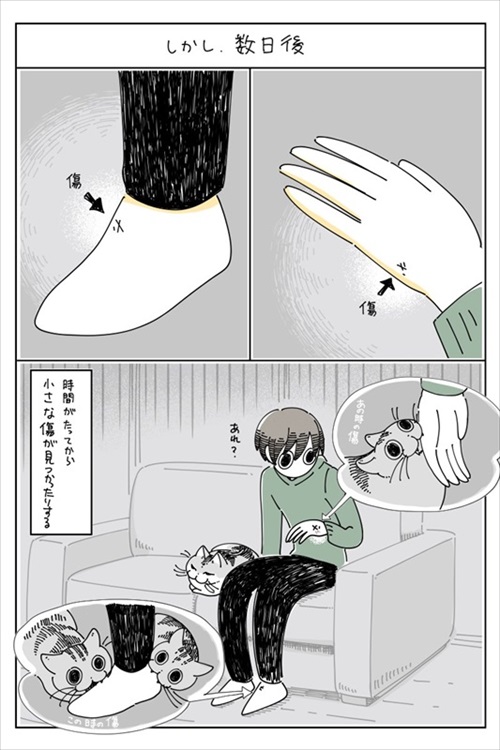 キュルZさん単行本