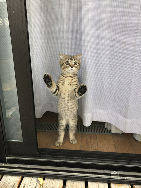 1年前のガッちゃん