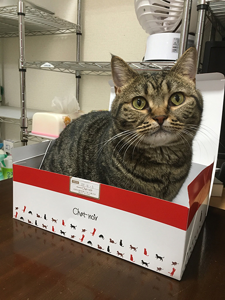 トメ次さん