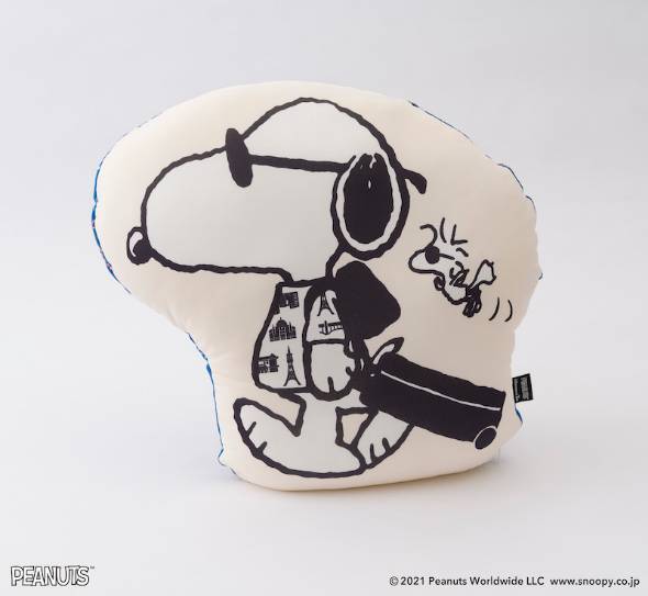 クールT-BOX クッション（3520円）