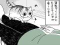 寝転がっていると、猫が乗ってきて……　お腹の上で動き回る猫ちゃんに困惑する飼い主の漫画があるある