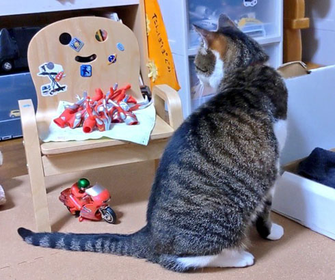 ウルトラマンパズル