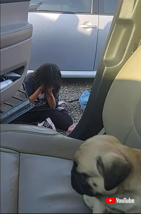 誕生日にパグをもらう女の子