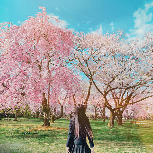 本田望結 歌手デビュー サクラクライ BOOOST U-key バラード ダンスナンバー