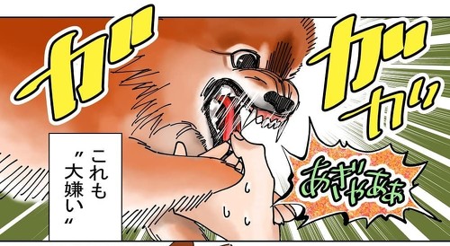 犬