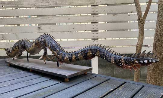 ダイソー のび〜る粘土 アート 造形 龍 実在 生物