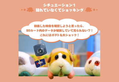 モルカーWebコンテンツ