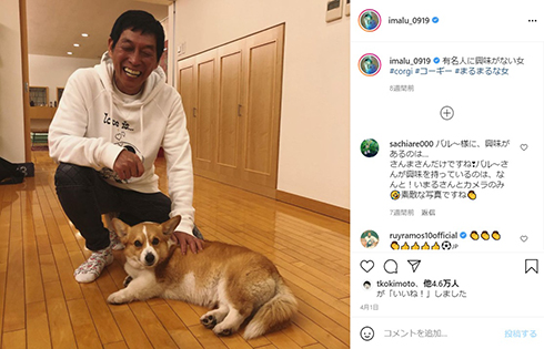 明石家さんま 宮迫博之 漁港の肉子ちゃん 雨上がり決死隊