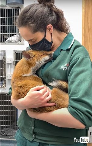 パンプキンちゃん