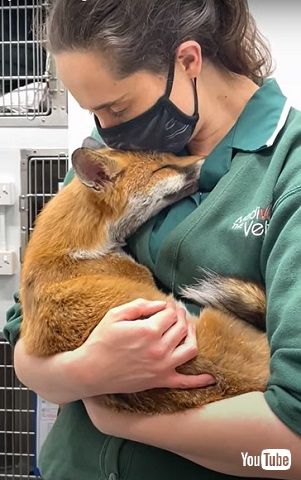 パンプキンちゃん