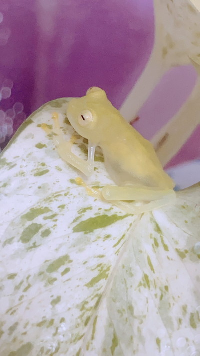 りんちゃんいろいろ