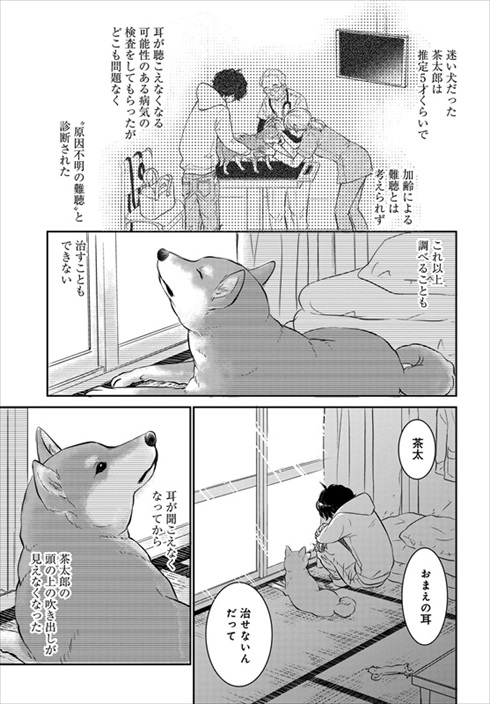 売れない漫画家と聞こえない犬の話