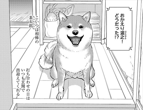 売れない漫画家と聞こえない犬の話