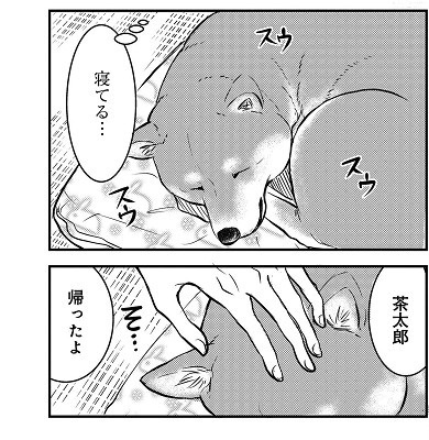 売れない漫画家と聞こえない犬の話