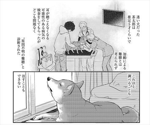 売れない漫画家と聞こえない犬の話
