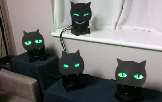 こっちを見てくる 黒猫ライト かわいい Ponboks ムービングライト Kinect