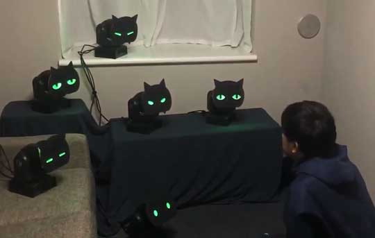 こっちを見てくる 黒猫ライト かわいい Ponboks ムービングライト Kinect
